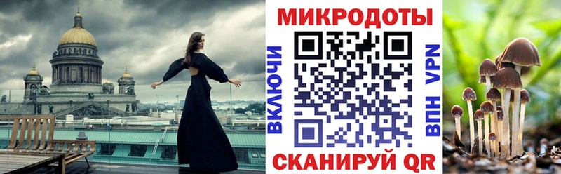 Купить  Тара  Псилоцибиновые грибы ЛСД 